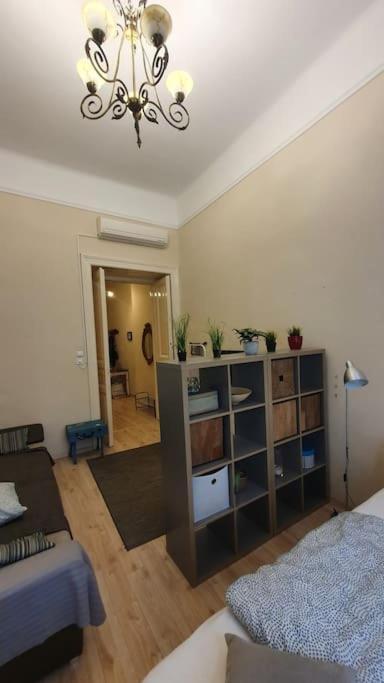 Wesseleny Apartment Near Synagogue With Ac After Renovation 布达佩斯 外观 照片