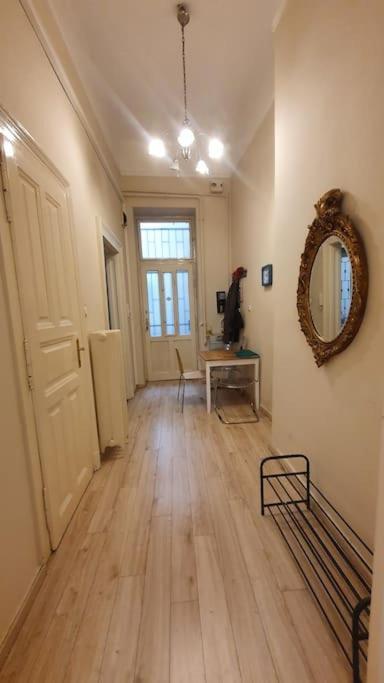 Wesseleny Apartment Near Synagogue With Ac After Renovation 布达佩斯 外观 照片